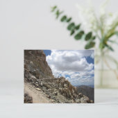 Mt Whitney Trail Junction - John Muir Trail ポストカード (スタンド正面)