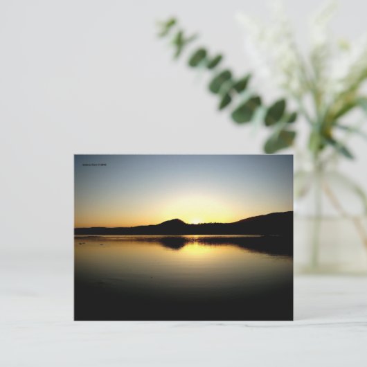 MTV 10 ポストカード (スタンド正面)