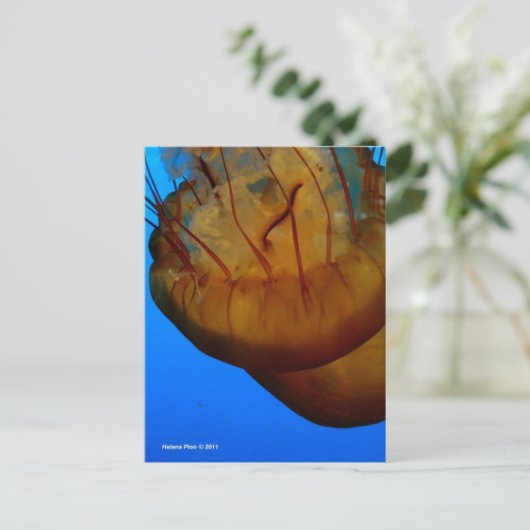 MTV 1 ポストカード (スタンド正面)