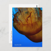 MTV 1 ポストカード (正面/裏面)