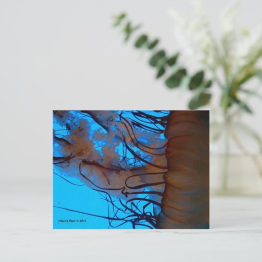 MTV 2 ポストカード (スタンド正面)