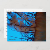 MTV 2 ポストカード (正面/裏面)