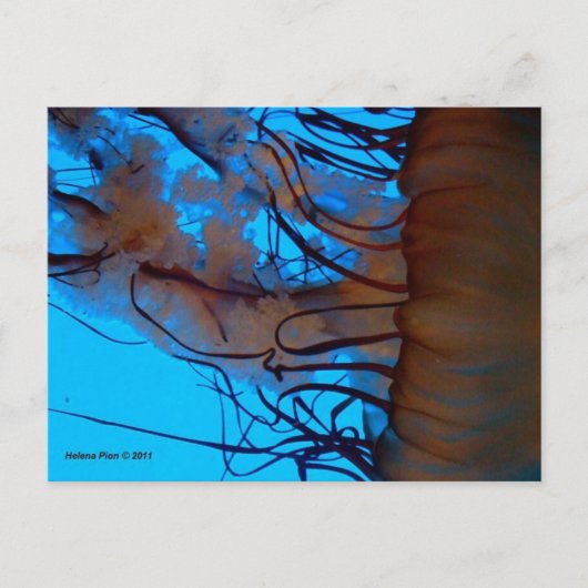 MTV 2 ポストカード (正面)