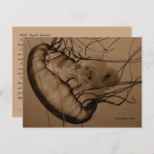 MTV 3 ポストカード (正面/裏面)