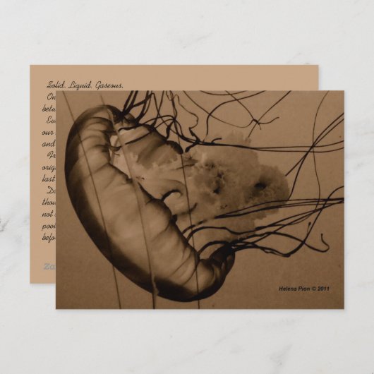 MTV 3 ポストカード (正面/裏面)