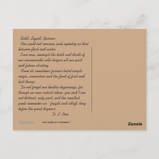 MTV 3 ポストカード (裏面)