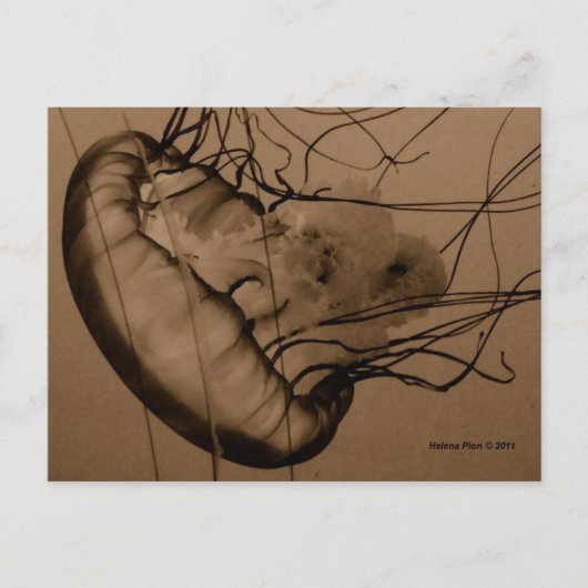 MTV 3 ポストカード (正面)