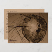 MTV 4 ポストカード (正面/裏面)