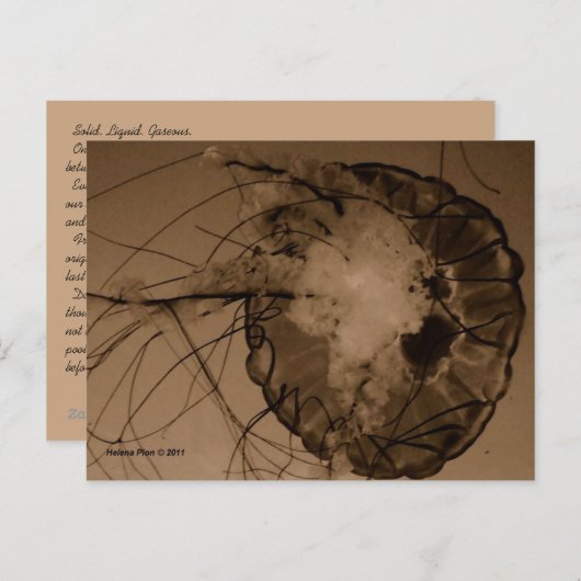 MTV 4 ポストカード (正面/裏面)