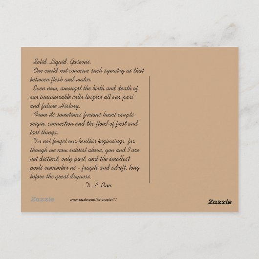 MTV 4 ポストカード (裏面)