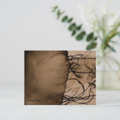 MTV 5 ポストカード (スタンド正面)