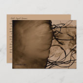 MTV 5 ポストカード (正面/裏面)