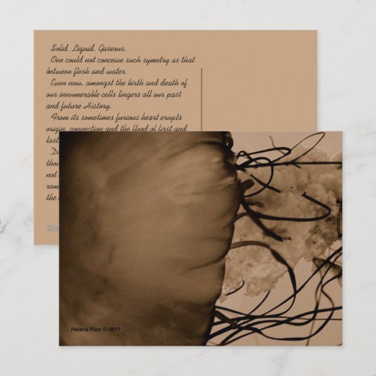 MTV 5 ポストカード (正面/裏面)