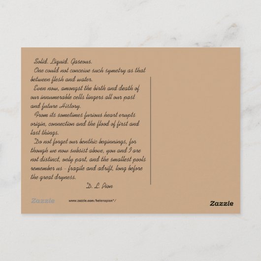 MTV 5 ポストカード (裏面)