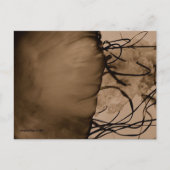 MTV 5 ポストカード (正面)