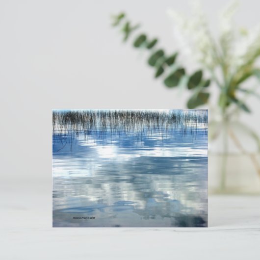 MTV 6 ポストカード (スタンド正面)