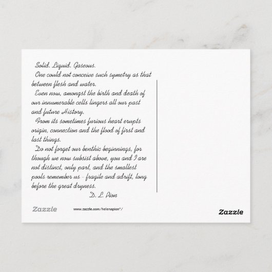 MTV 6 ポストカード (裏面)