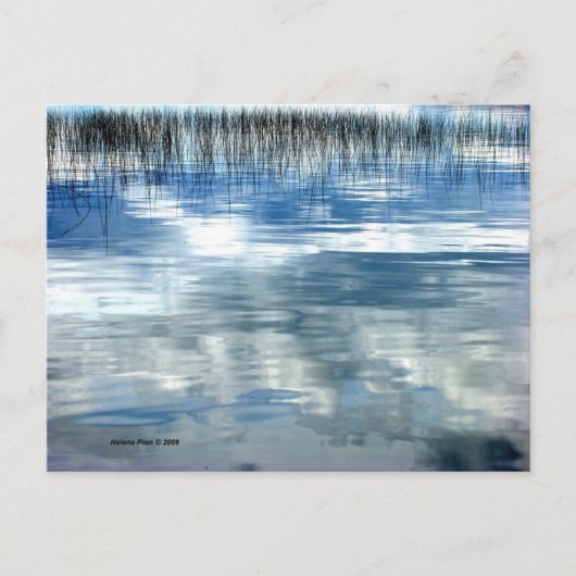 MTV 6 ポストカード (正面)