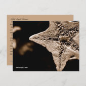 MTV 7 ポストカード (正面/裏面)