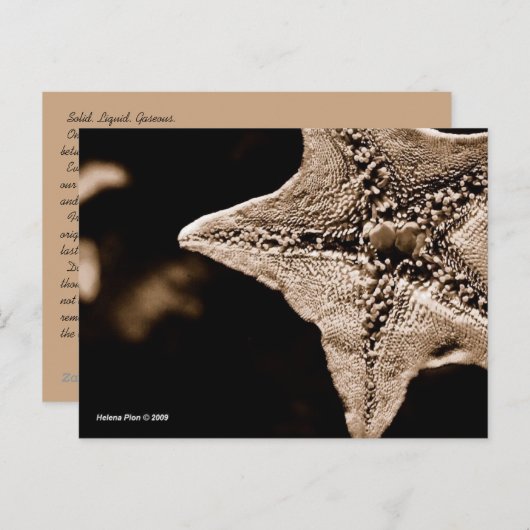 MTV 7 ポストカード (正面/裏面)