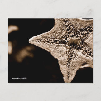 MTV 7 ポストカード