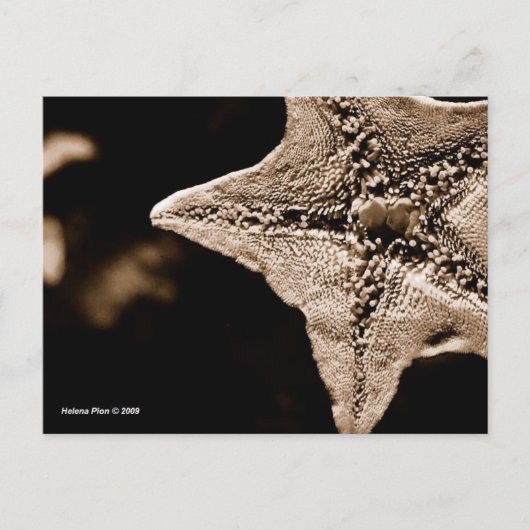 MTV 7 ポストカード (正面)