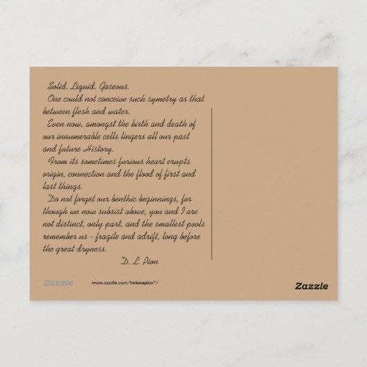 MTV 8 ポストカード (裏面)