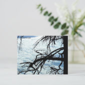 MTV 9 ポストカード (スタンド正面)