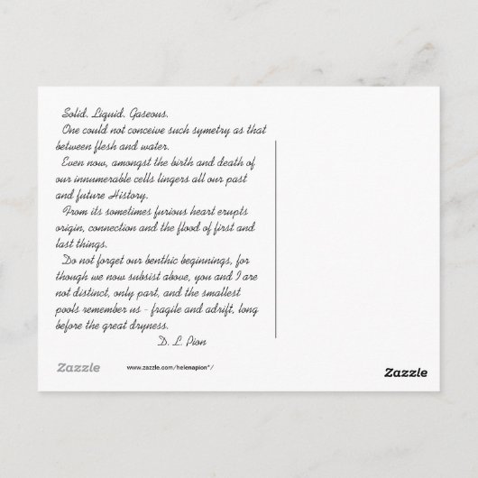 MTV 9 ポストカード (裏面)