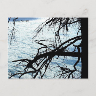 MTV 9 ポストカード