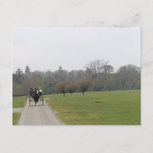 Muckrossの家、Killarneyアイルランド ポストカード (正面)