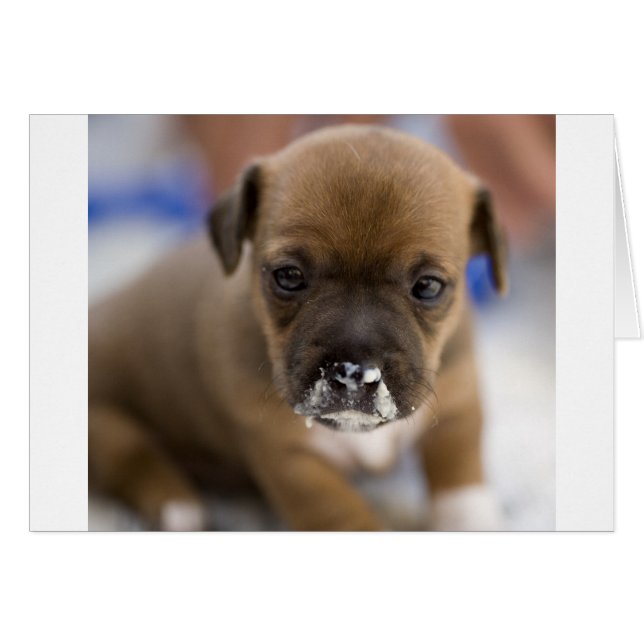 Mucky子犬 (正面横)