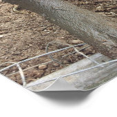 Muddy Pig Poster Funny ポスター (角)