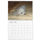 MuffieおよびSnowie 2008のカレンダー カレンダー (2月 2026)