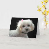 Muffyのピンクの弓 カード (黄色い花)