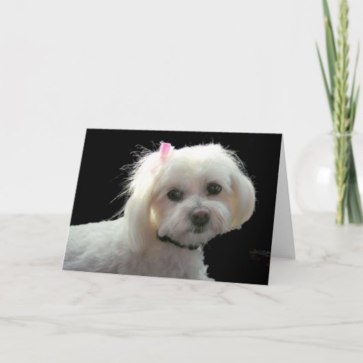 Muffyのピンクの弓 カード (正面)