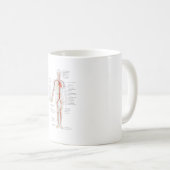 MUGヒト動脈の循環系 コーヒーマグカップ (正面右)