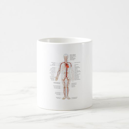 MUGヒト動脈の循環系 コーヒーマグカップ (中央)