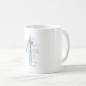 MUGヒト静脈循環系 コーヒーマグカップ (正面右)