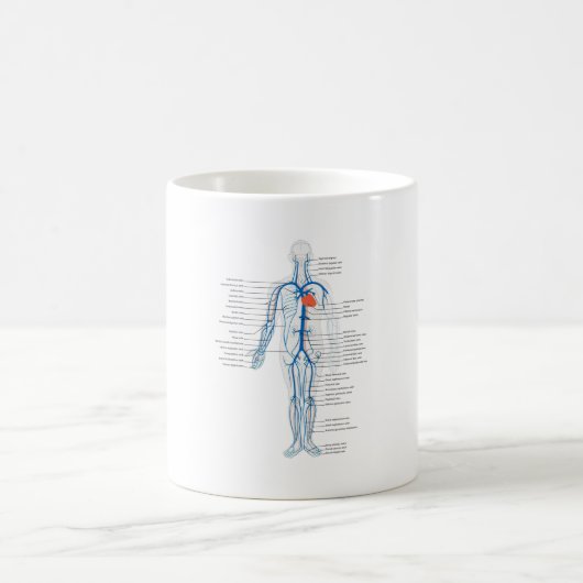 MUGヒト静脈循環系 コーヒーマグカップ (中央)
