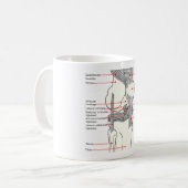 MUG解剖図ヒト右膝関節 コーヒーマグカップ (正面左)