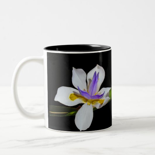Mug – アイリスの花 ツートーンマグカップ (左)