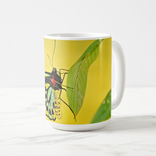 Mug コーヒーマグカップ (正面右)