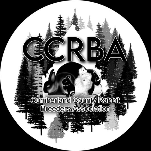 Mug ツートーンマグカップ