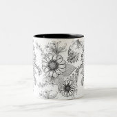 Mug Daisy Floral  ツートーンマグカップ (中央)
