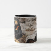 Mug – Sun Bear マグカップ (中央)