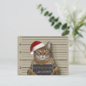 Mugshot Cat Christmas ポストカード (スタンド正面)