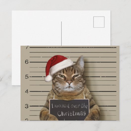 Mugshot Cat Christmas ポストカード (正面/裏面)