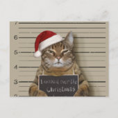 Mugshot Cat Christmas ポストカード (正面)