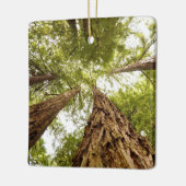 Muirの森のオーナメント セラミックオーナメント (左)